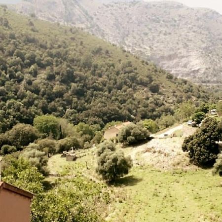 Appartement T2 Chez Thomas Et Nas Omessa المظهر الخارجي الصورة