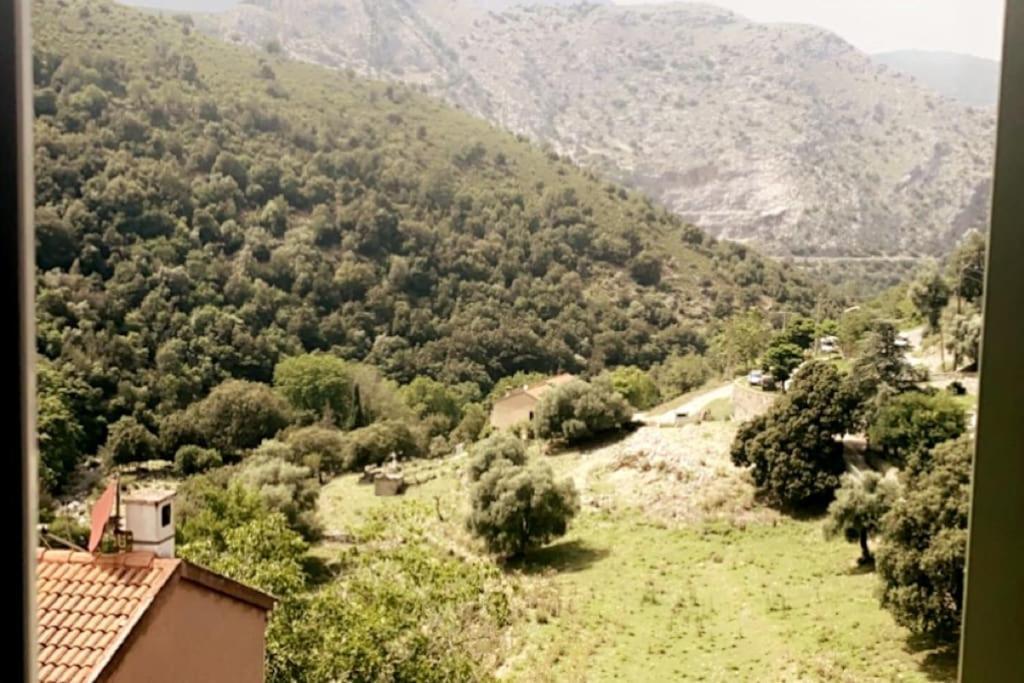 Appartement T2 Chez Thomas Et Nas Omessa المظهر الخارجي الصورة