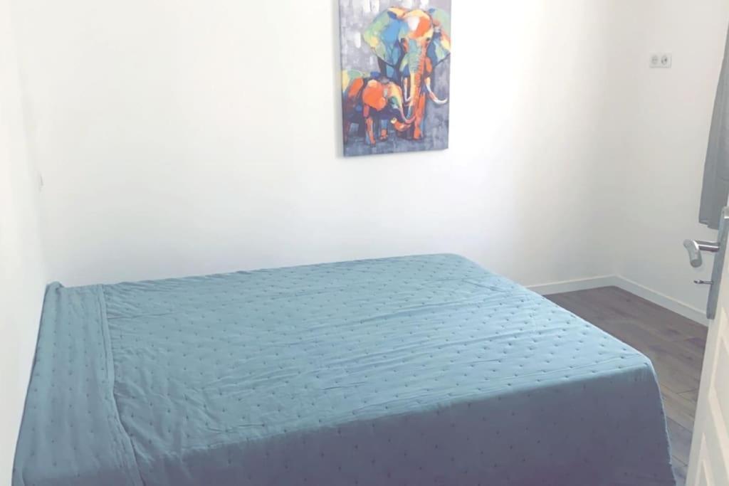 Appartement T2 Chez Thomas Et Nas Omessa المظهر الخارجي الصورة