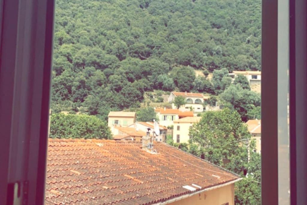 Appartement T2 Chez Thomas Et Nas Omessa المظهر الخارجي الصورة